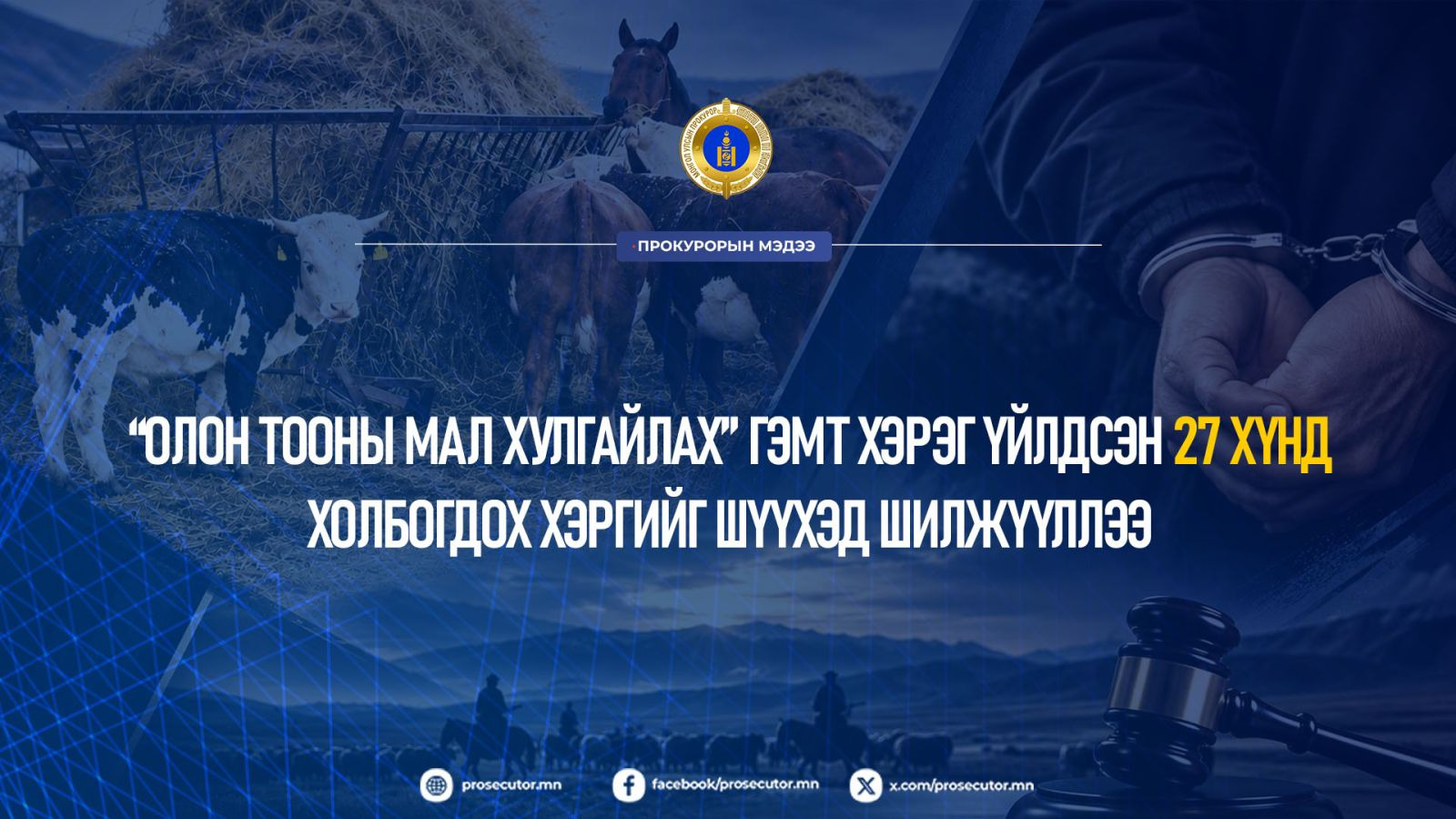 “Олон тооны мал хулгайлах” гэмт хэрэг үйлдсэн 27 хүнд холбогдох хэргийг шүүхэд шилжүүллээ